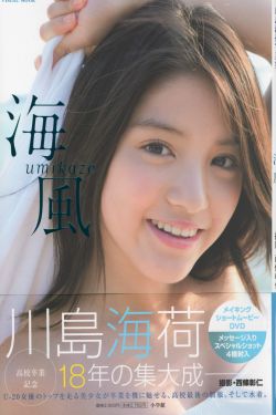 陈雅伦三级dvd